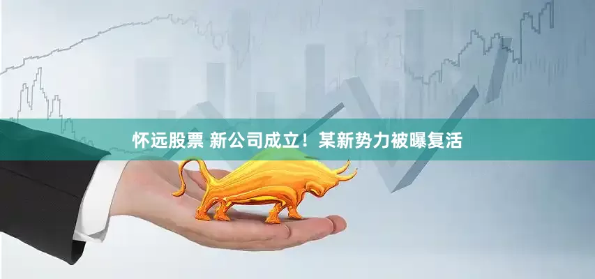怀远股票 新公司成立！某新势力被曝复活
