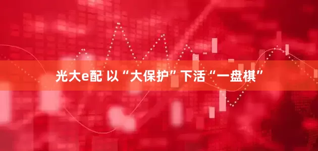 光大e配 以“大保护”下活“一盘棋”