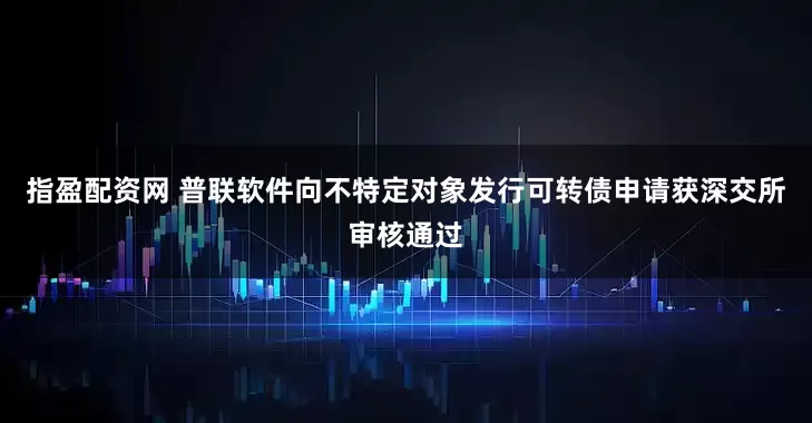 指盈配资网 普联软件向不特定对象发行可转债申请获深交所审核通过
