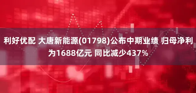 利好优配 大唐新能源(01798)公布中期业绩 归母净利为1688亿元 同比减少437%