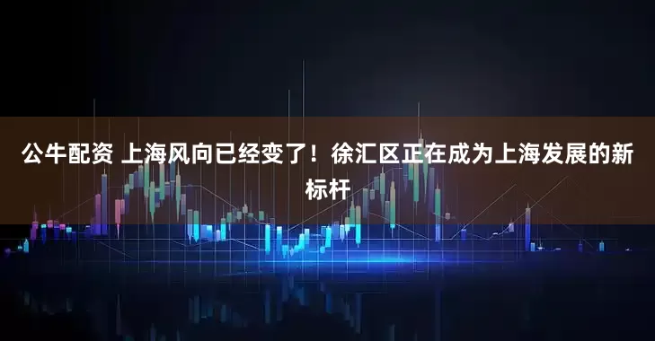 公牛配资 上海风向已经变了！徐汇区正在成为上海发展的新标杆