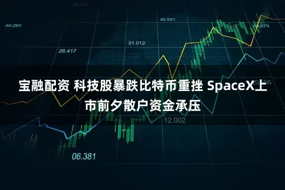 宝融配资 科技股暴跌比特币重挫 SpaceX上市前夕散户资金承压