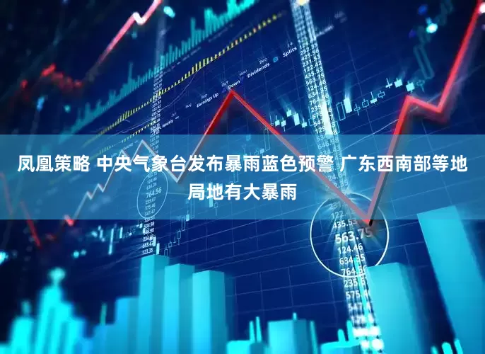 凤凰策略 中央气象台发布暴雨蓝色预警 广东西南部等地局地有大暴雨